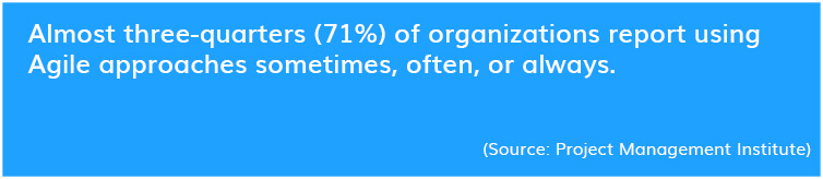 Agile Methodology Utilization Stats