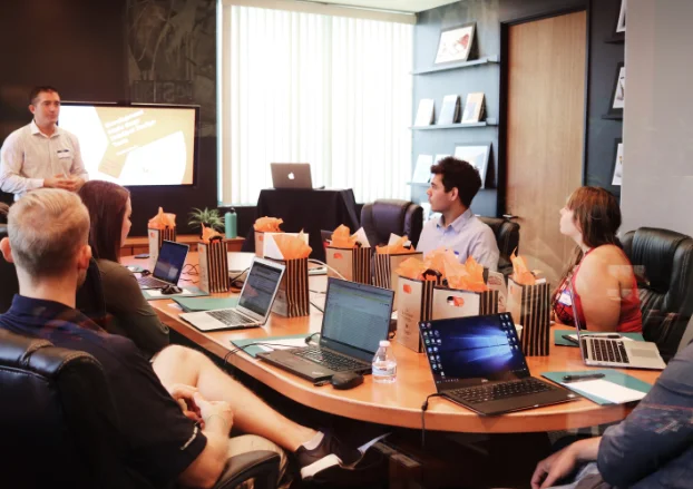 Software consulting services