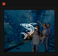 Dubai Aquarium & Underwater Zoo