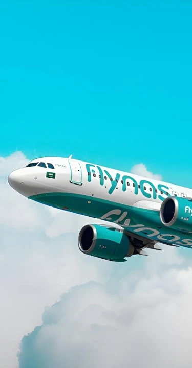 flynas Portfolio