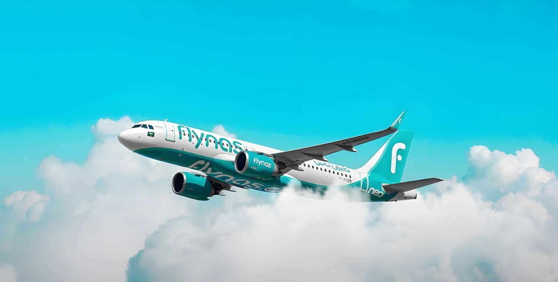 flynas Portfolio