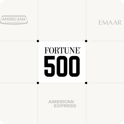 Fortune 500