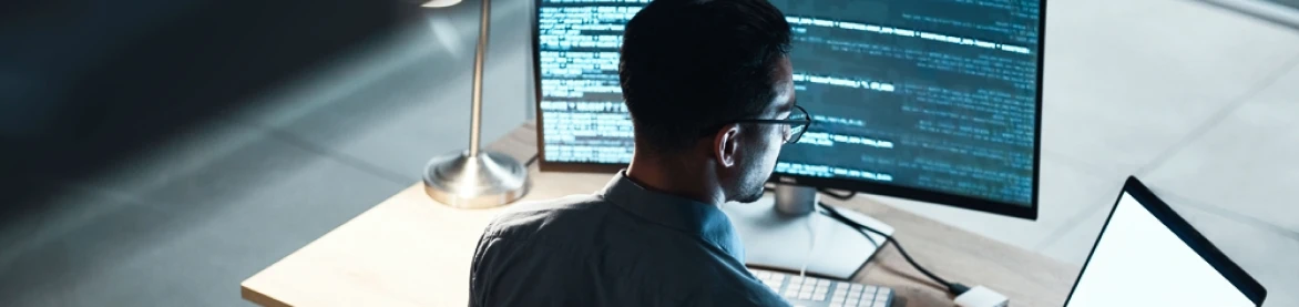 Enterprise software development services