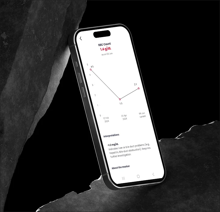 Results and business case overview banner