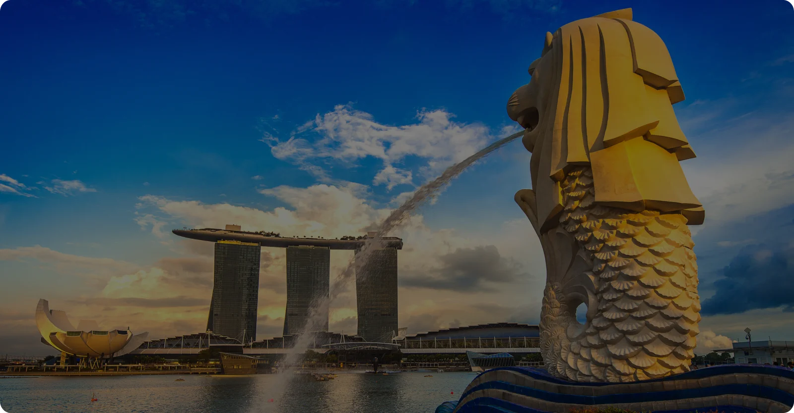 mobile app development company in singapore