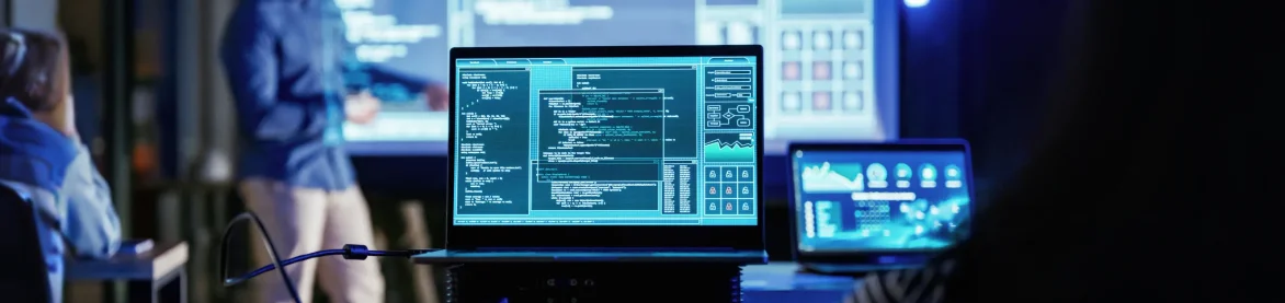 custom software engineering services