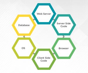 Top Myths about Full Stack Application Developers | Appinventiv