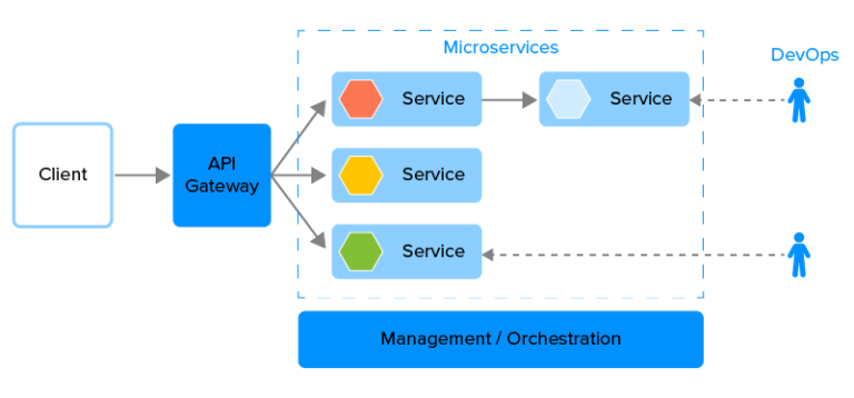 How to Choose the Right Enterprise Software Architecture