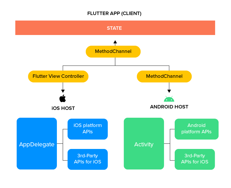 Development Environment 