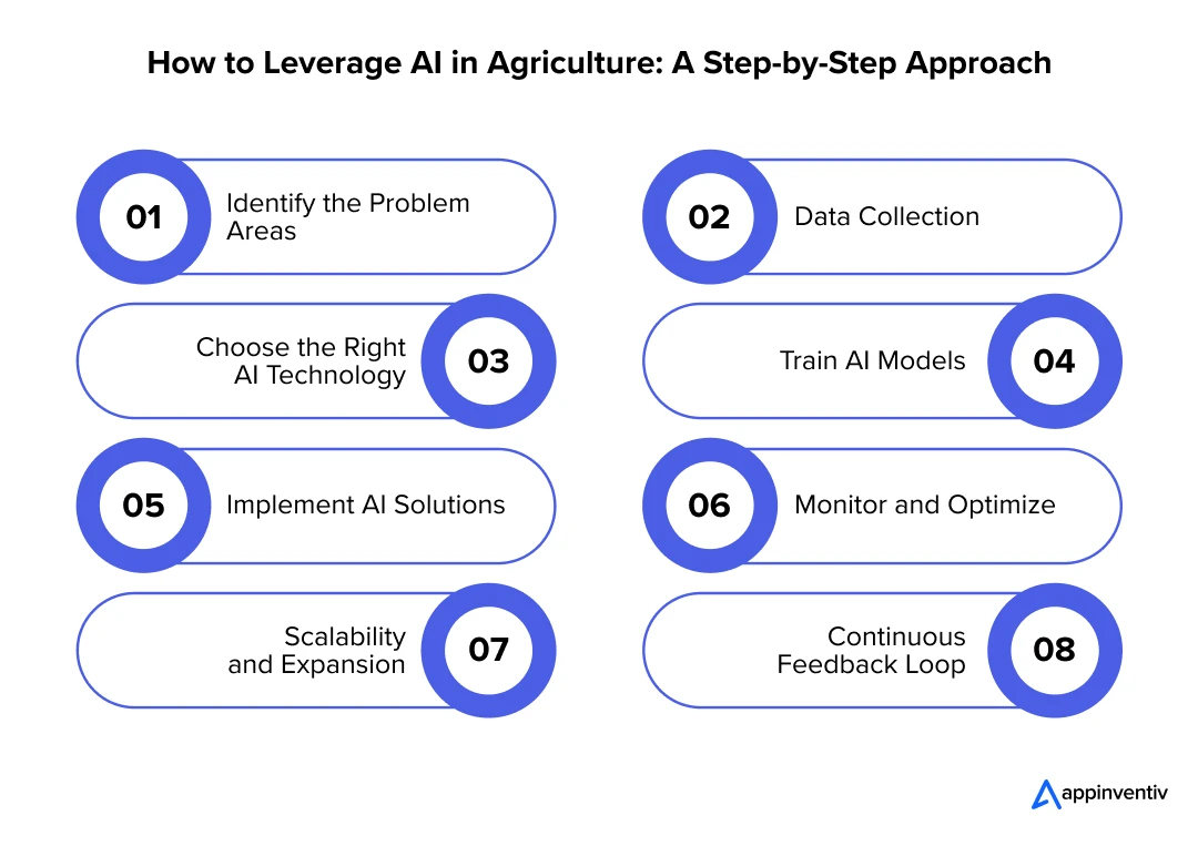 A Comprehensive Approach to Adopting AI in Agriculture
