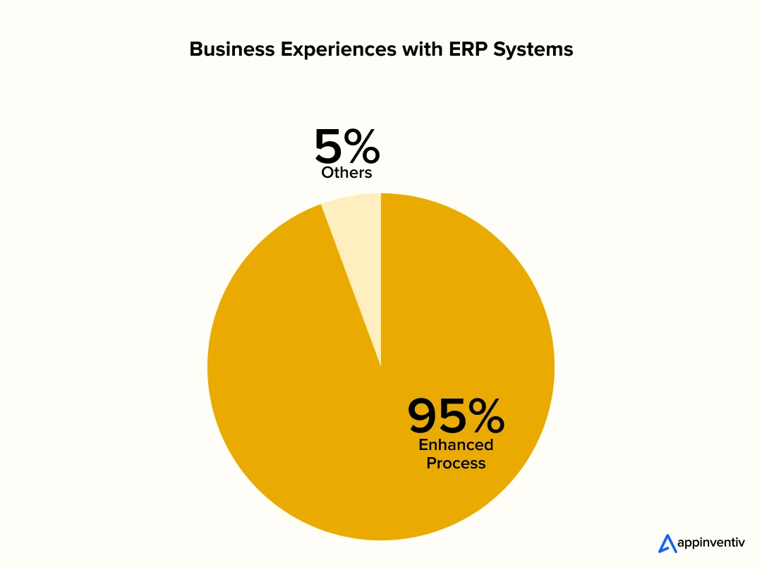 Business Experiences with ERP Systems