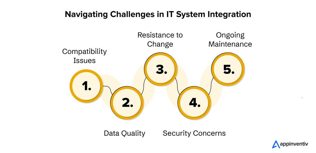  Navigating Challenges in IT System Integration