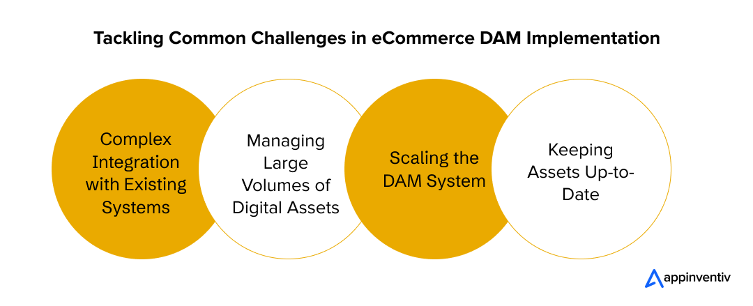 Tackling Common Challenges in eCommerce DAM Implementation