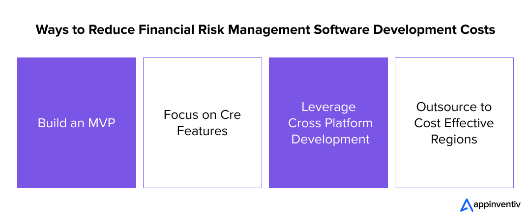 Ways to Reduce Financial Risk Management Software Development Costs