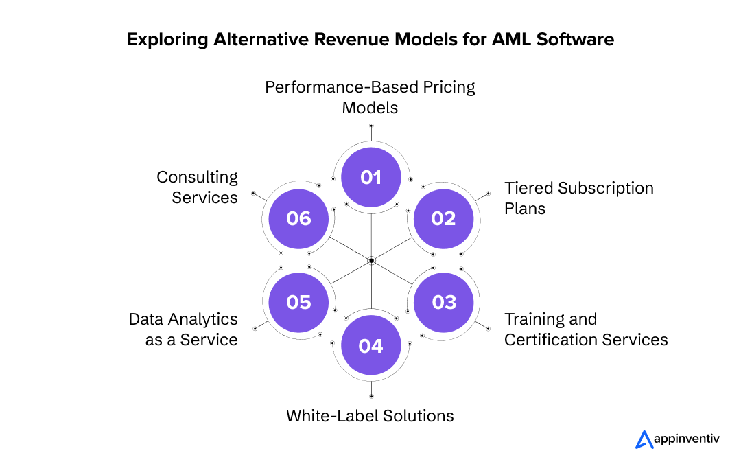 Exploring Alternative Revenue Models for AML Software