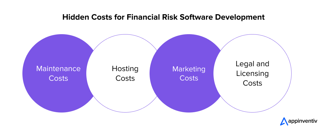 Hidden Costs for Financial Risk Software Development