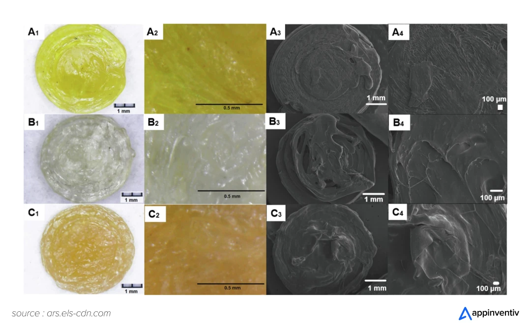 Morphological evaluation of single API 3D printed tablets