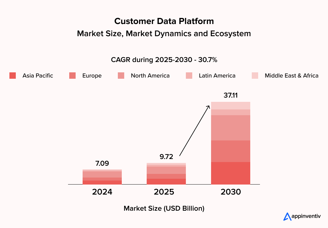 Global CDP Market