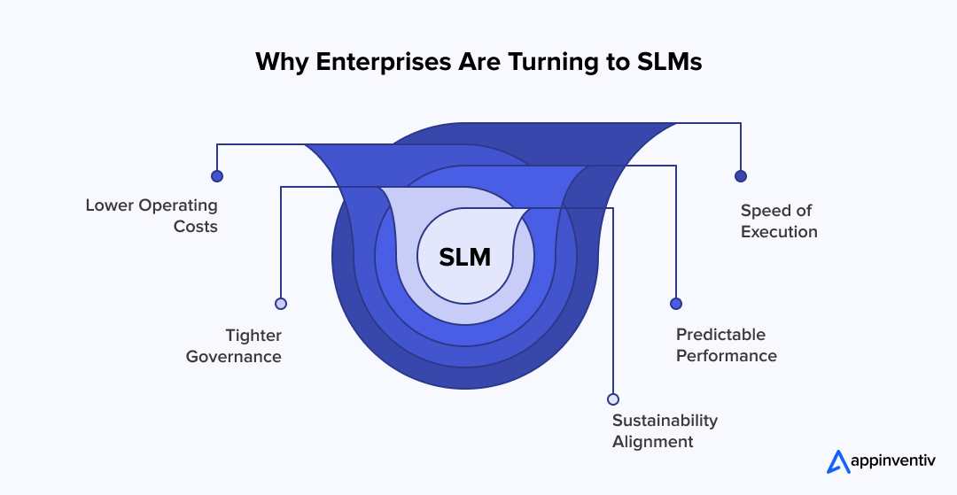 Why Enterprises Are Turning to SLMs 