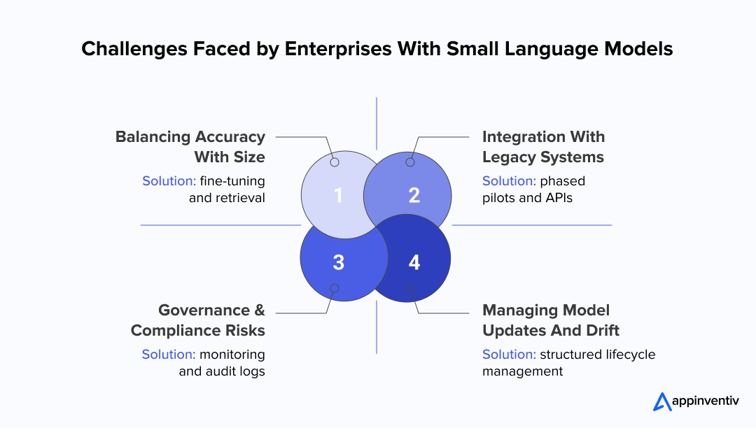 Challenges Faced by Enterprises With Small Language Models