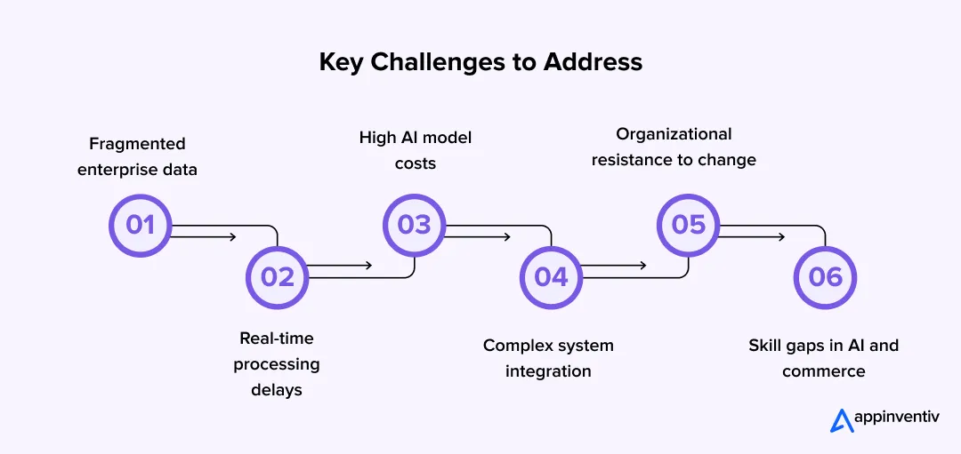 agentic commerce challenges