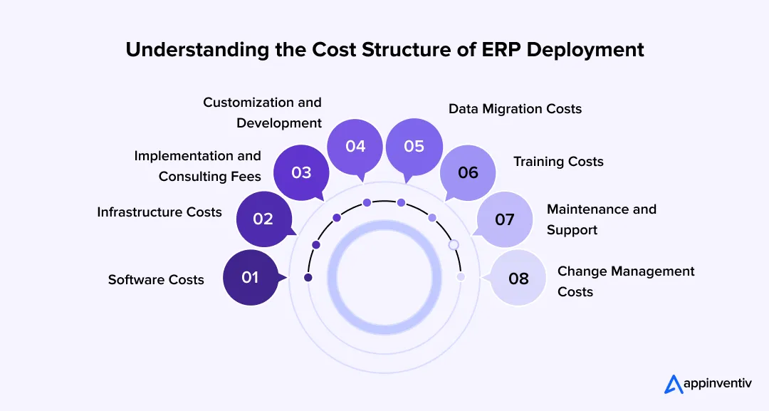 Understanding the Cost Structure of ERP Deployment