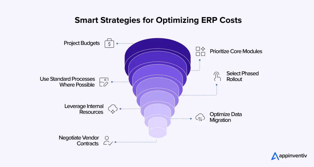 Smart Strategies for Optimizing ERP Costs