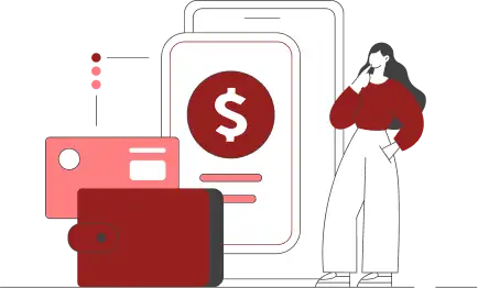 Custom payment gateway development